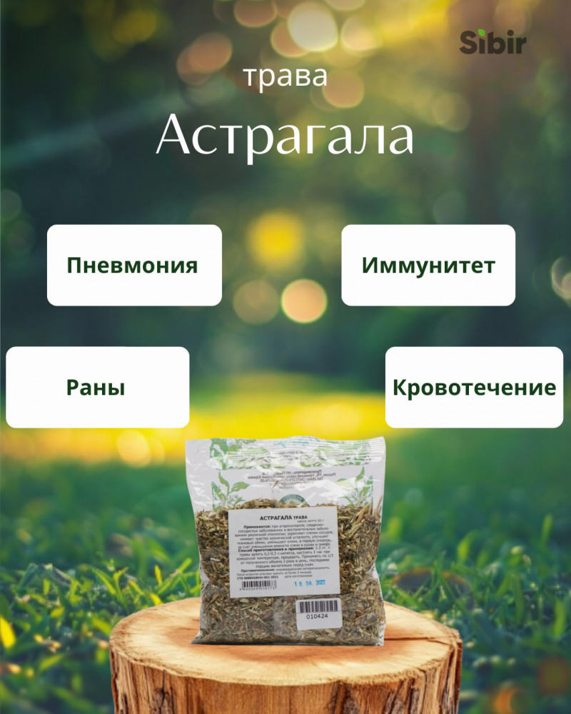 Астрагала трава