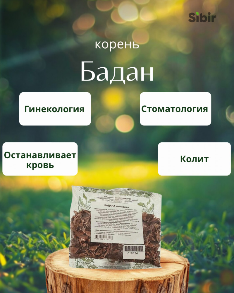 Бадан корень