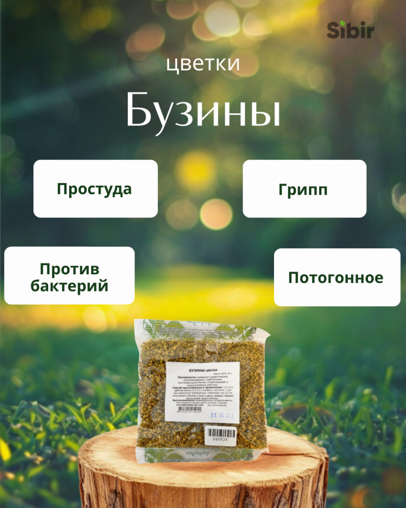 Бузины цветки