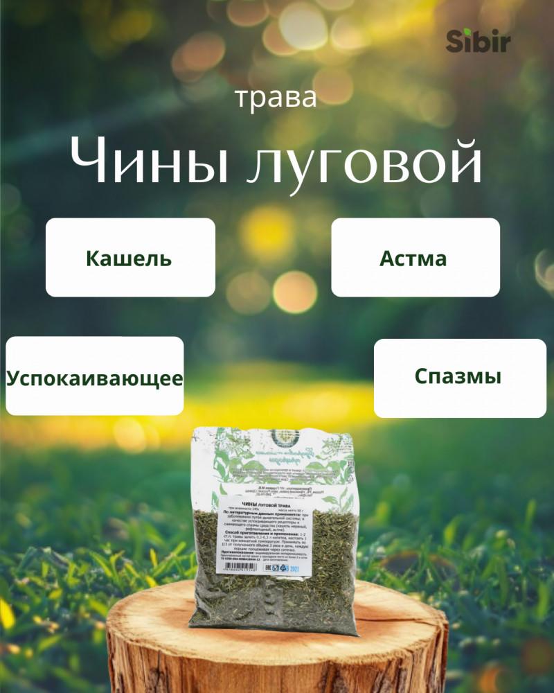Чины луговой трава