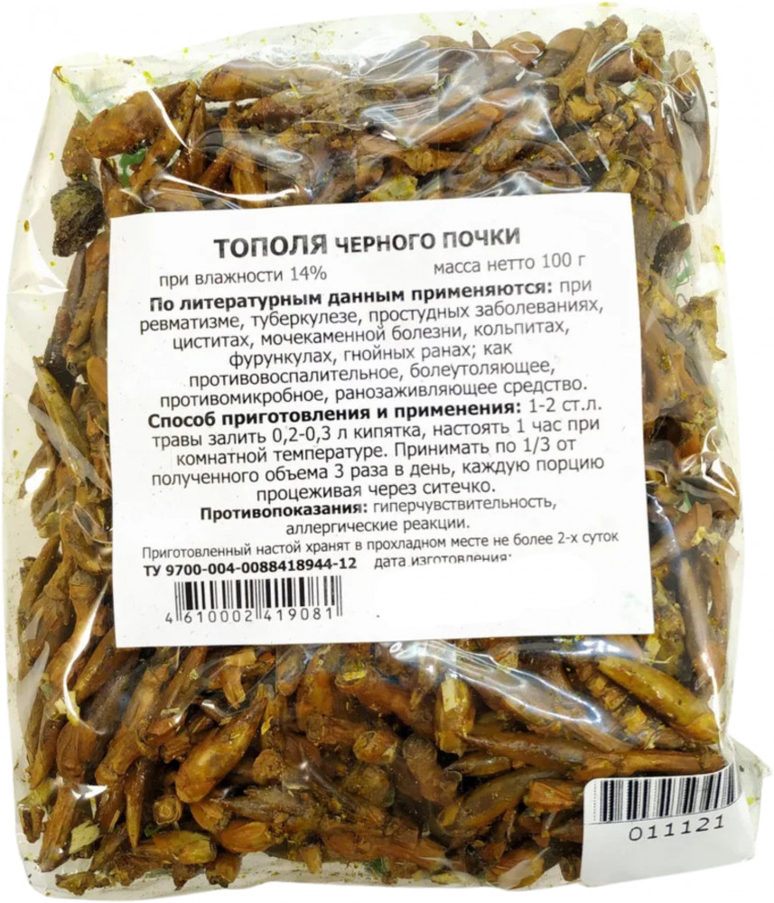 Тополя черного почки