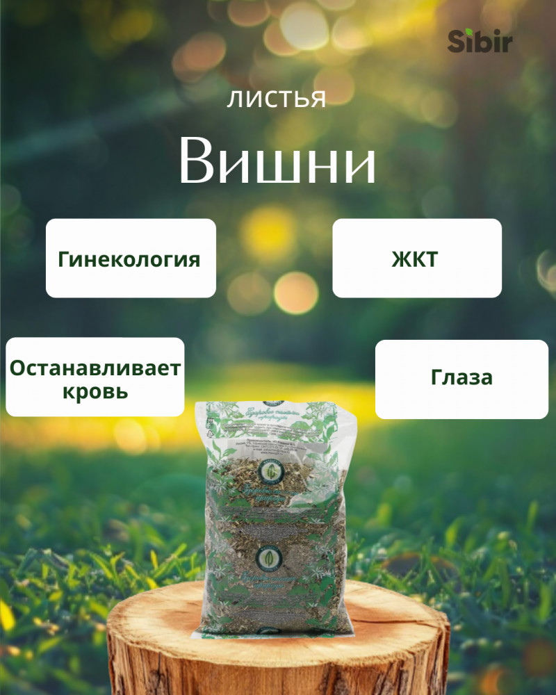 Вишни листья