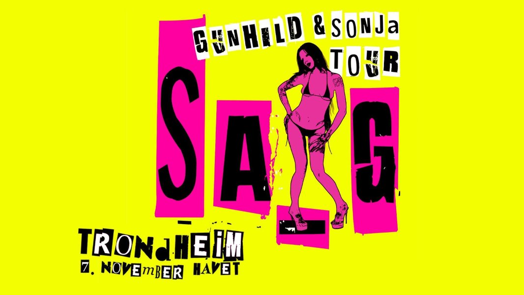 May be a graphic of text that says 'SUNHILD &S & &SONJa SARG G SA TOER TRONAHEİM 7. NOVEMBER HAMET'