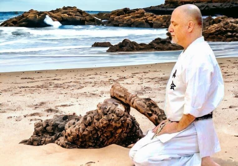 May be an image of martial arts and text