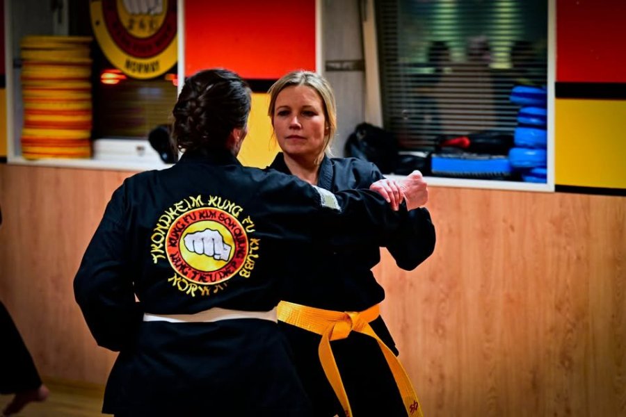 May be an image of martial arts and text