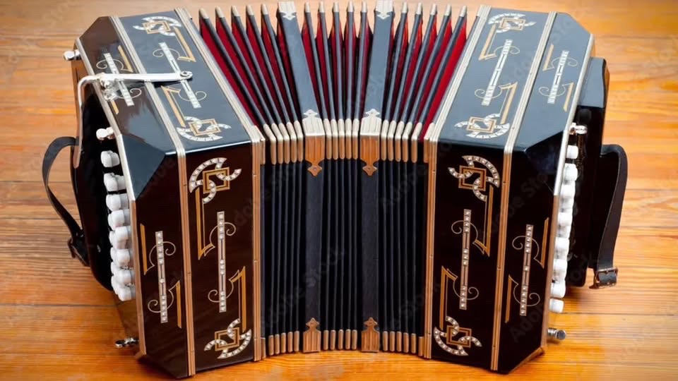 May be an image of accordion and text
