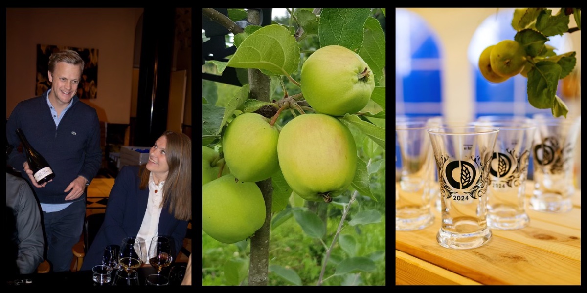 Siderfestivalen 2026