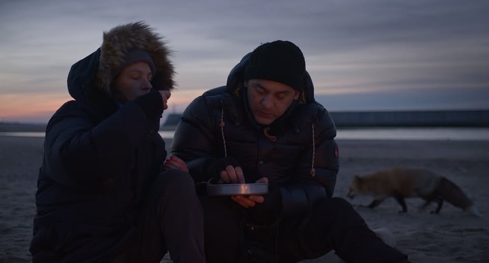 May be an image of arctic