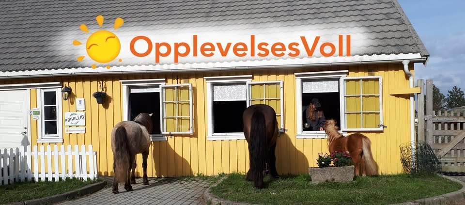 Bilde av hester som titter inn vinduer på Gulhuset på Voll gård