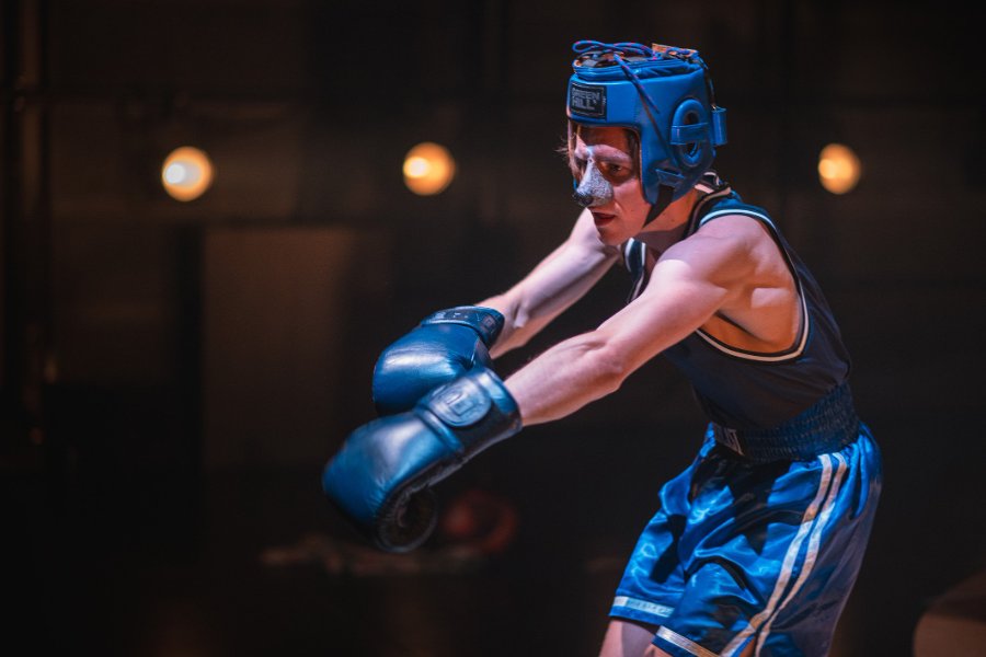 Mitt liv som hund Basert på Reidar Jönssons roman