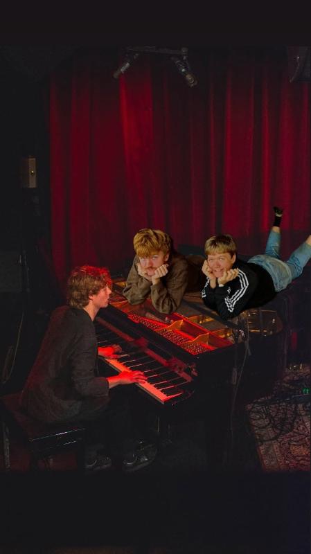 May be an image of piano