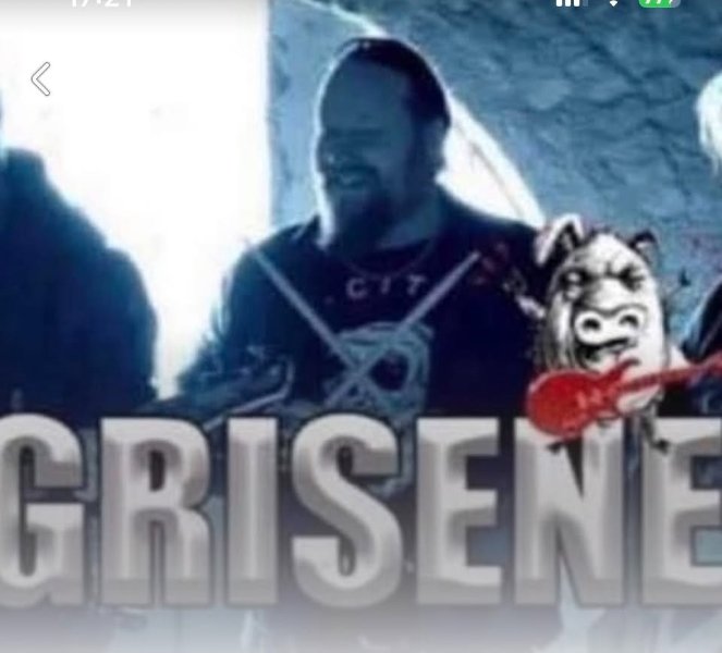 GRISENE