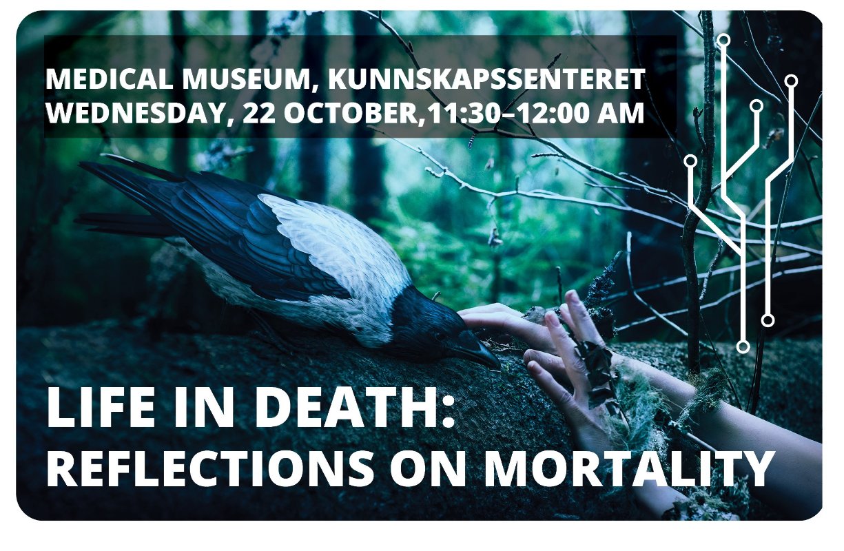 Life in Death: Reflections on Mortality