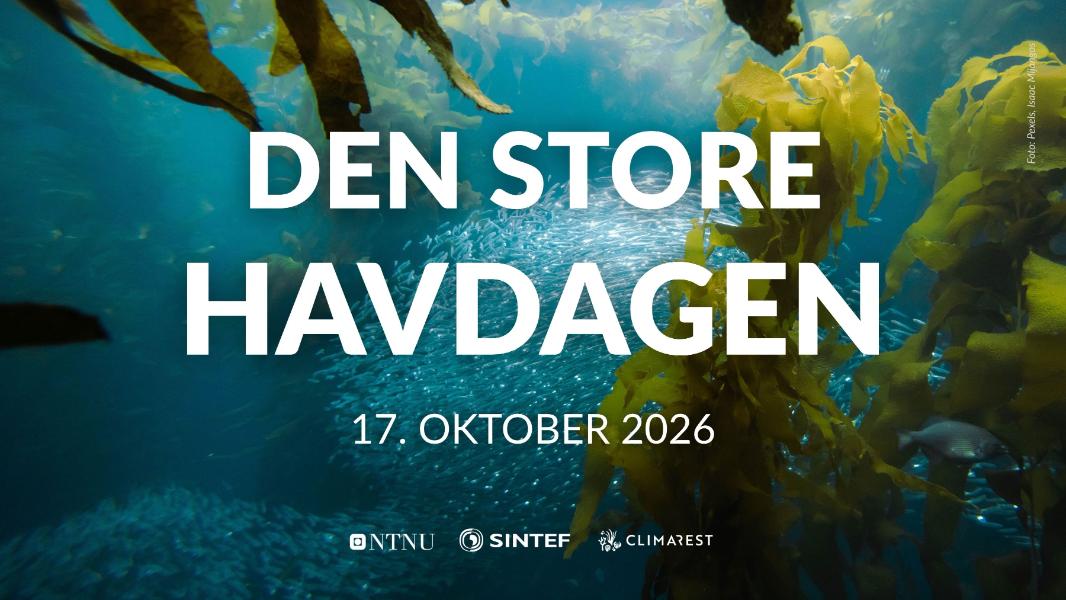 Havdagen på Vitensenteret