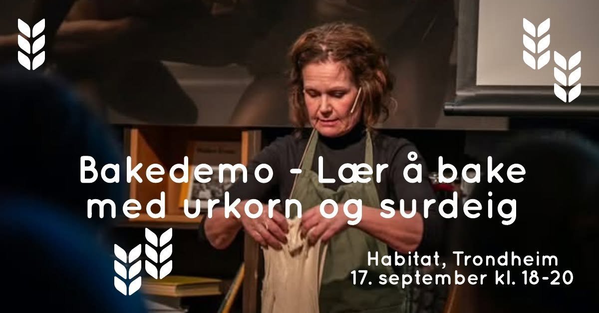 May be an image of text that says 'Bakedemo-Lcer -Laer Bakedemo bake med urkorn og surdeig Habitat, Trondheim 17. 7.september kl. 18-20'