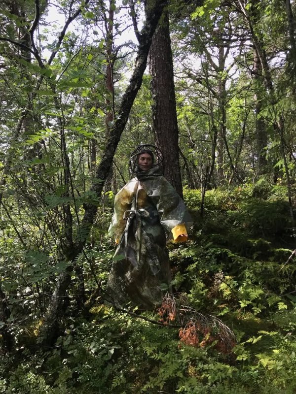 May be an image of tree