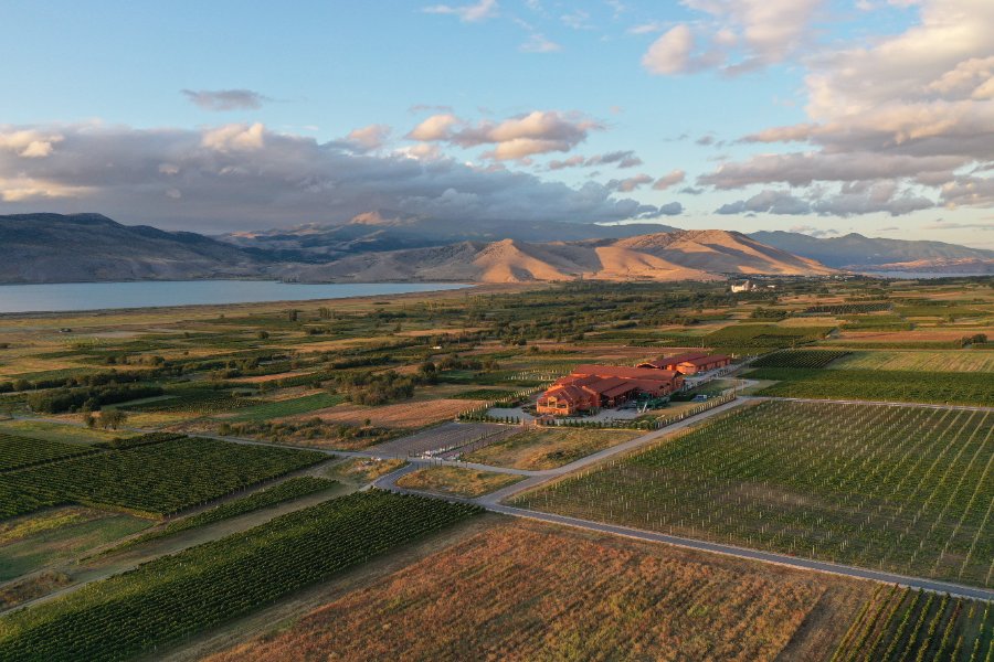 Vinmakerens middag Alpha Estate