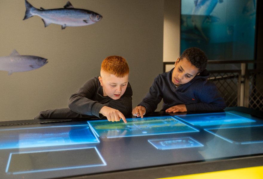 Vinterferie hos SeeSalmon - Gratis