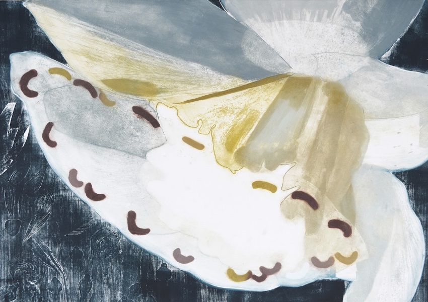 Katherine Jones «How You Use Your Eyes To See»