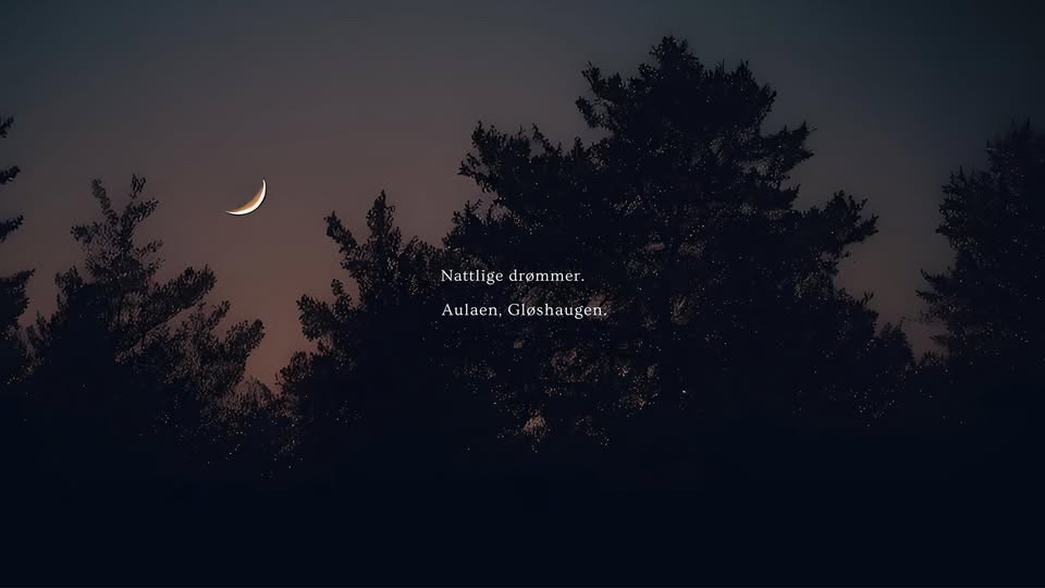 Nattlige drømmer