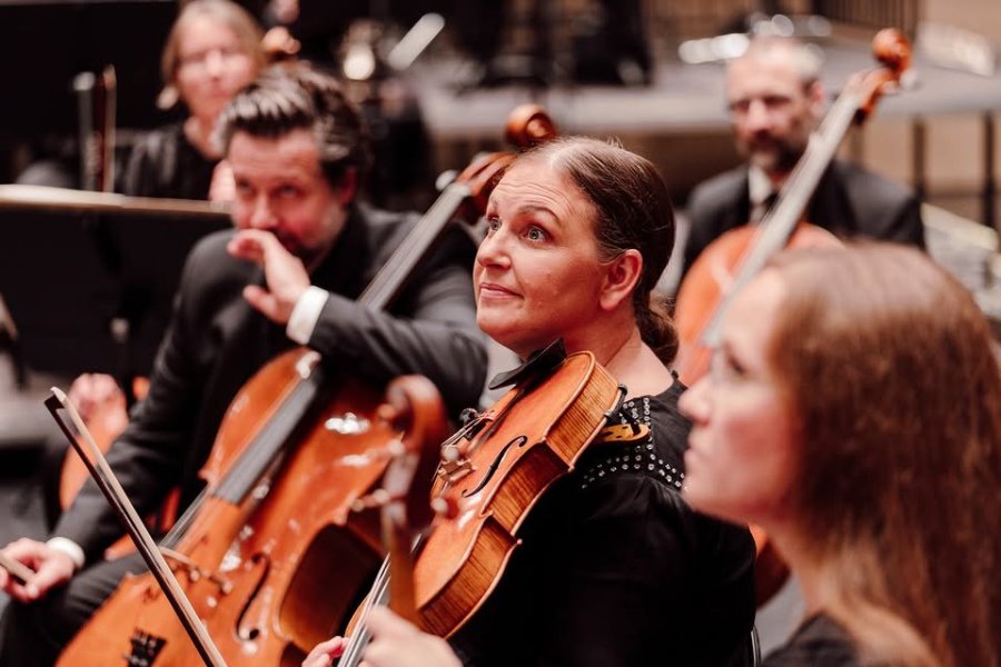 May be an image of violin