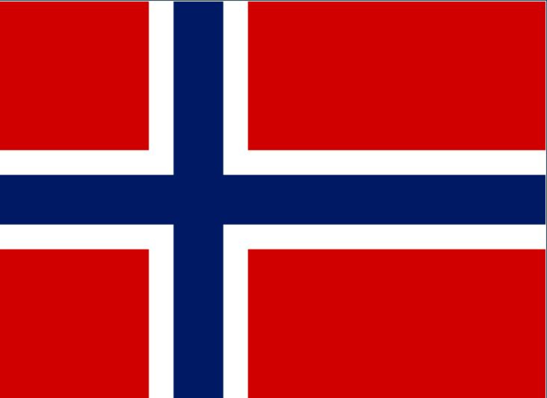 Det norske flagg i rødt, hvitt og blått