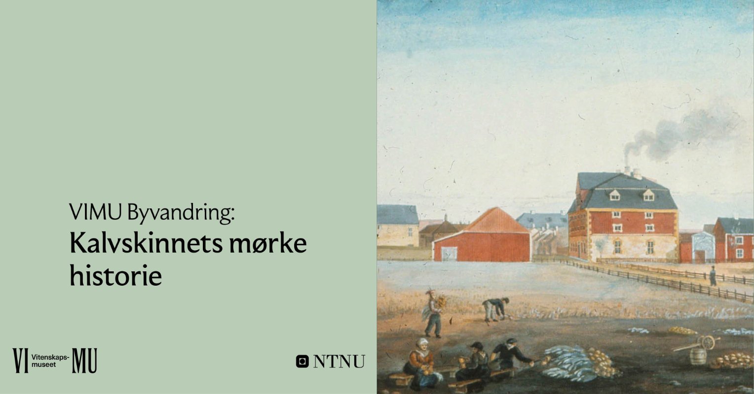 VIMU Byvandring: Kalvskinnets mørke historie. Illustrasjon: malt av Johannes Finne Rosenvinge