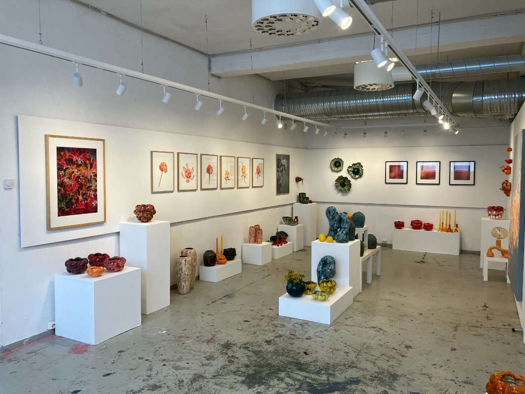 Bilde fra Galleri Ilsvika