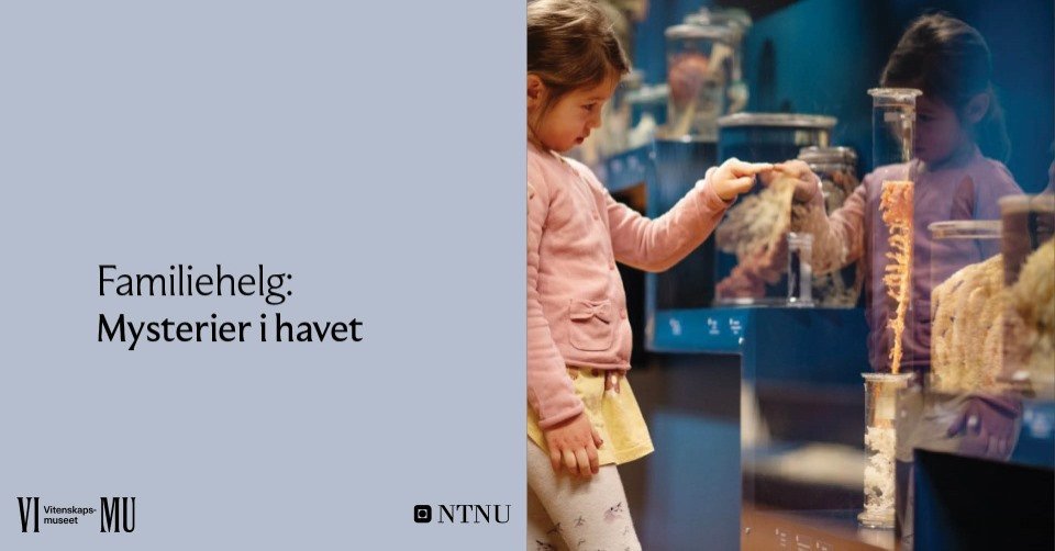 VIMU Familiehelg: Mysterier i havet. Foto: Anne Line Bakken