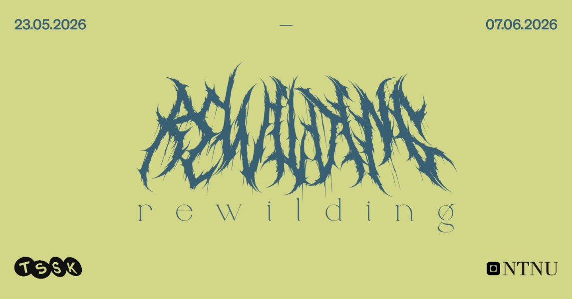 ReWilding — Kunstakademiets avgangsutstilling 2026