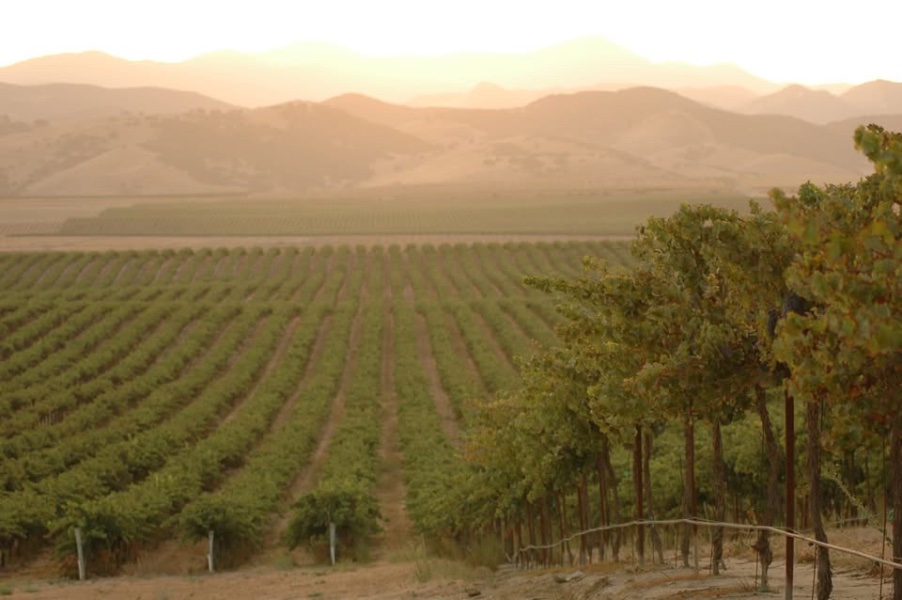 No photo description available.