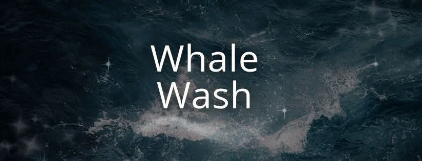 Filmvisning på Cinemateket Trondheim / Olavskvartalet