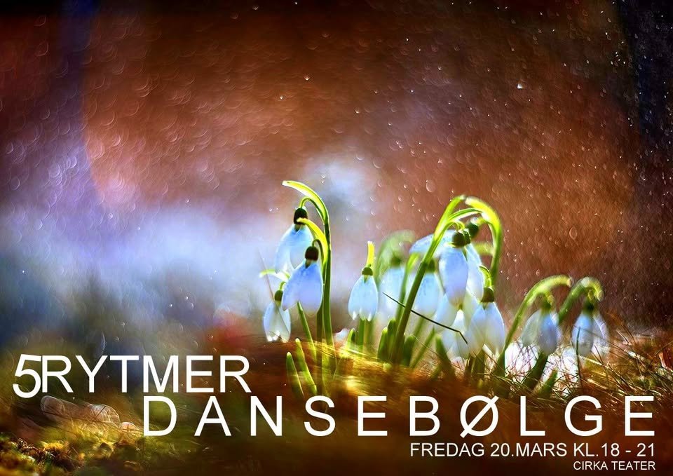 5RYTMER DANSEBOLGE