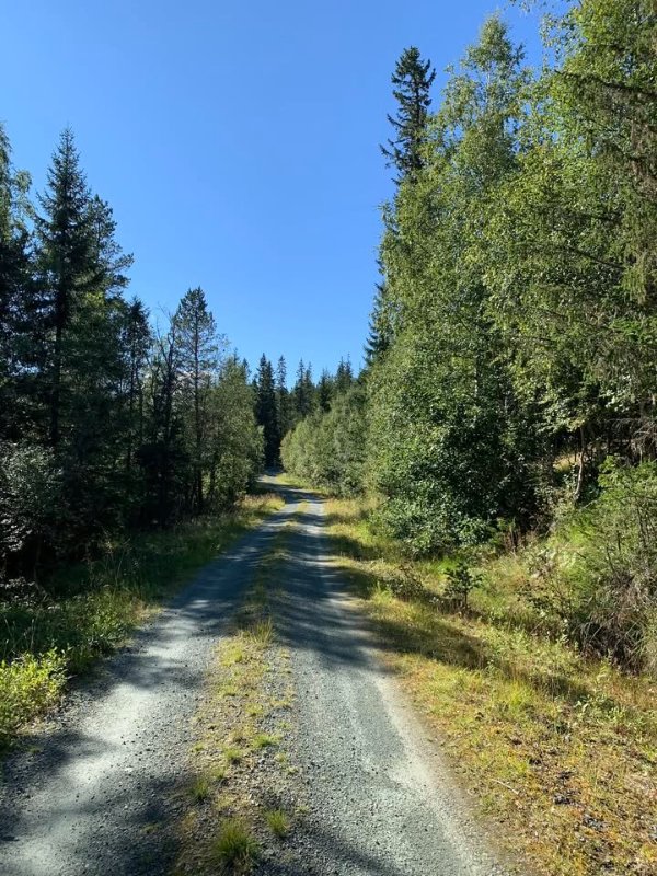 May be an image of road