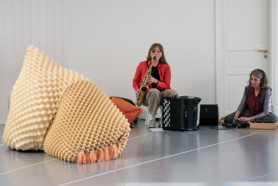 May be an image of accordion