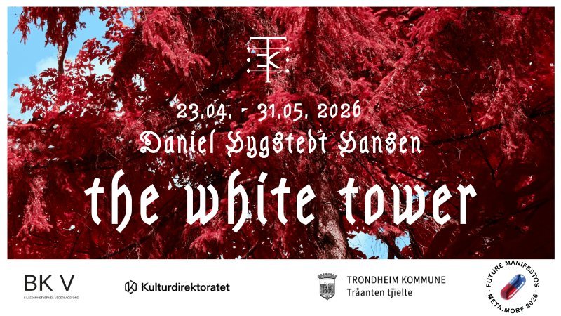 Utstilling: The White Tower av Daniel Hygstedt Hansen