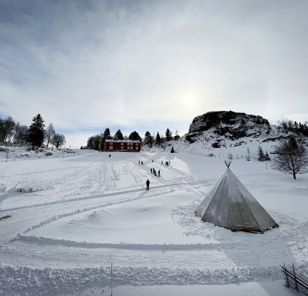 May be an image of ski slope and arctic