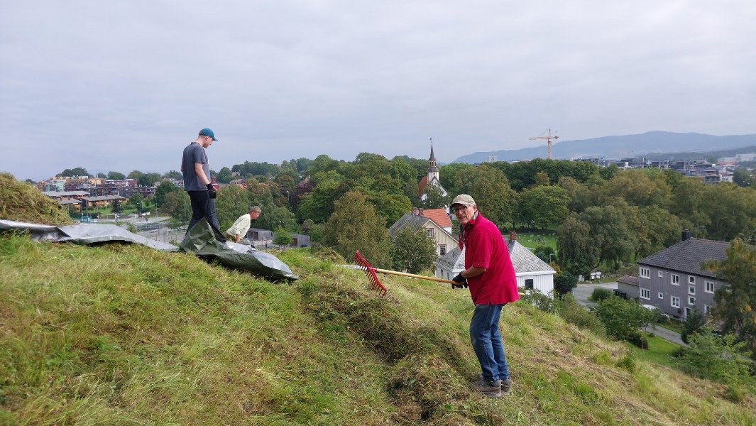 Miljøkveld: Skjøtsel av natur