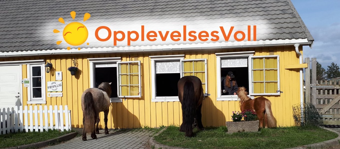 Bilde av hester som ser inn vinduet på Gulhuset