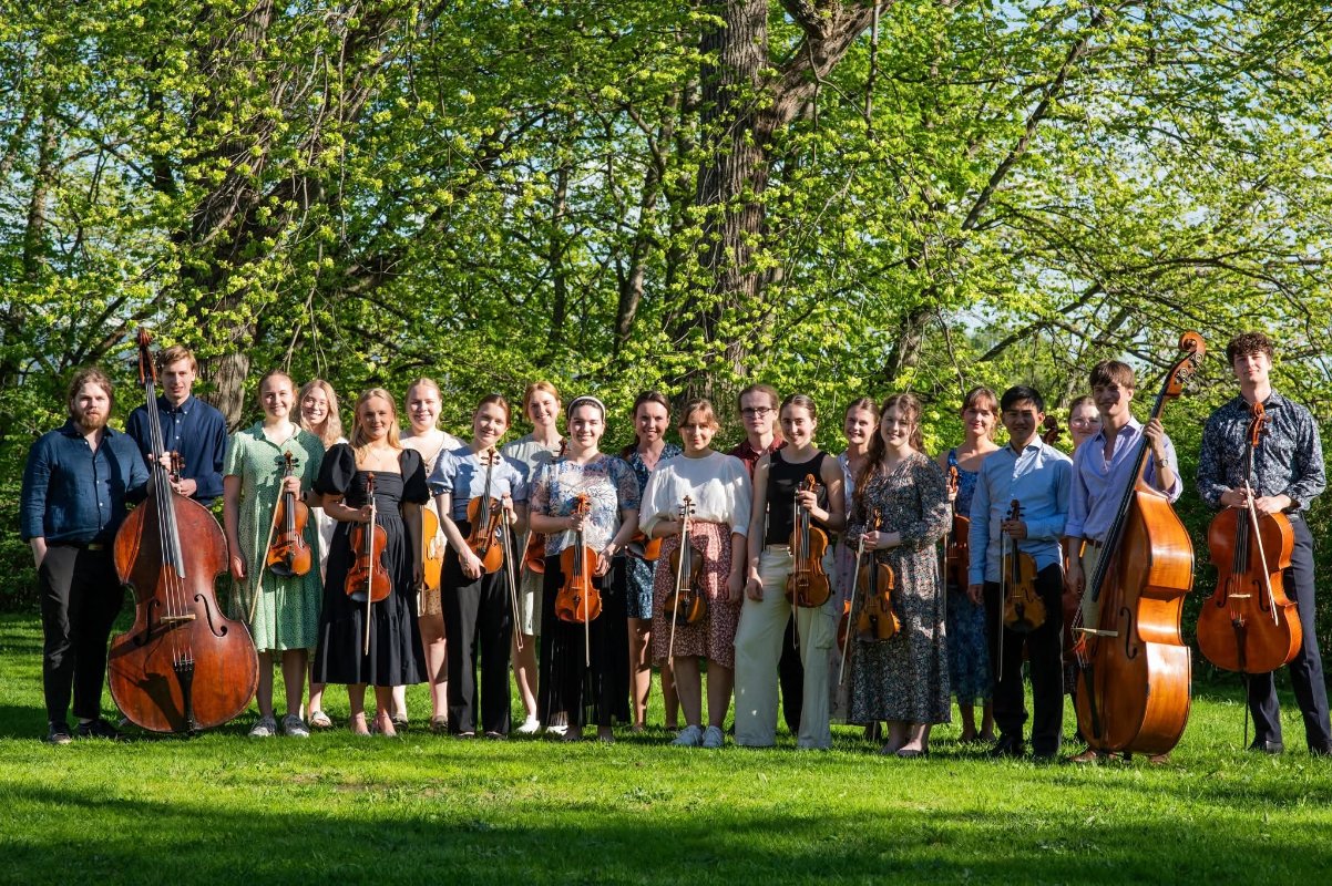 May be an image of violin, clarinet and grass