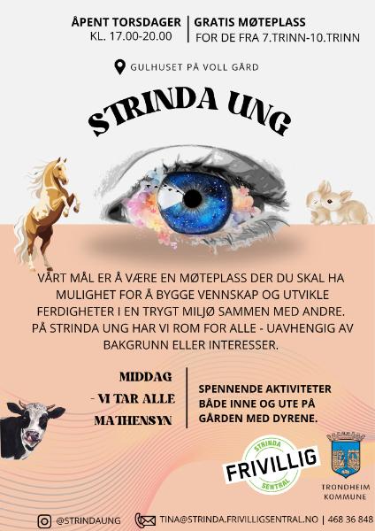 Strinda ung