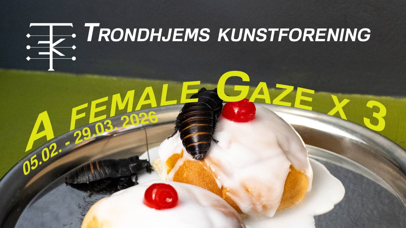 May be an image of text that says '事 TRONDHJEMS KUNSTFORENING GAZE GAZEX3 x3 X 05.02.-29.03. A FEMALE 29.03. 2026 3 05.02.'