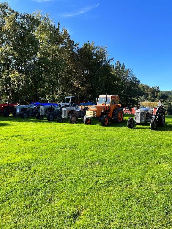 May be an image of golf buggy and snowplough