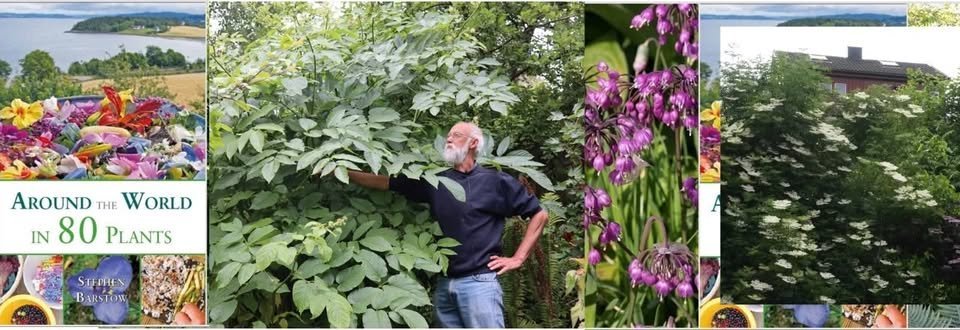 May be an image of text that says "AROUND AROUNDTHEWORL THE WORLD IN 80 80PLANTS PLANTS STIIHEN BARSTOW"