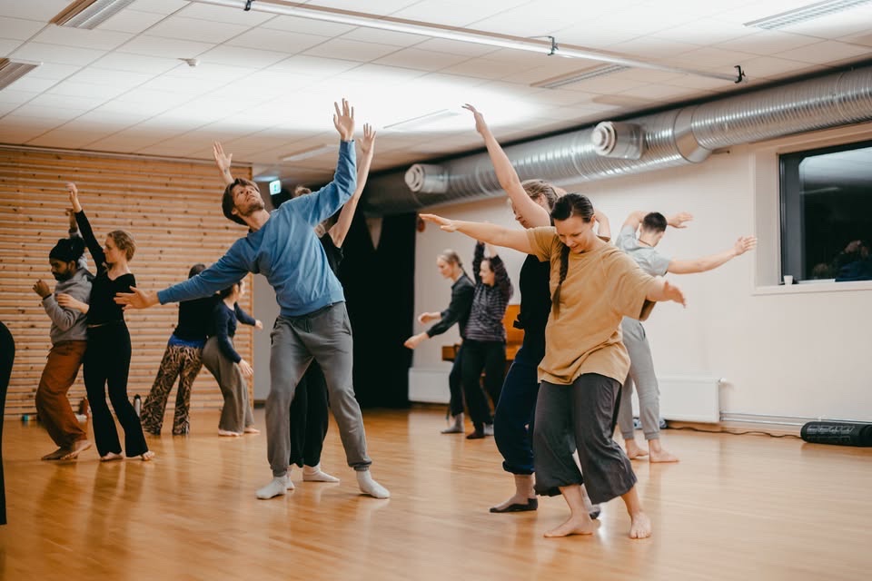 A picture of 12 people dancing contact improvisation