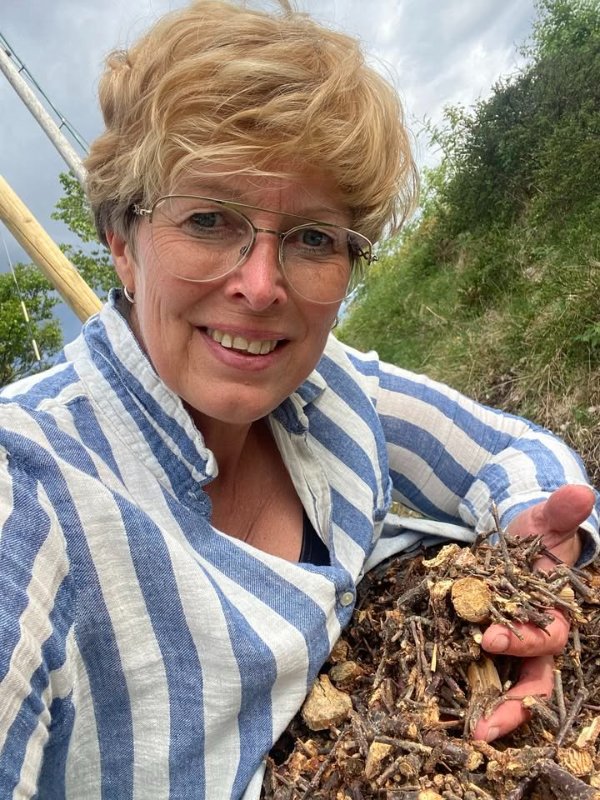 May be an image of mushroom and morel mushroom