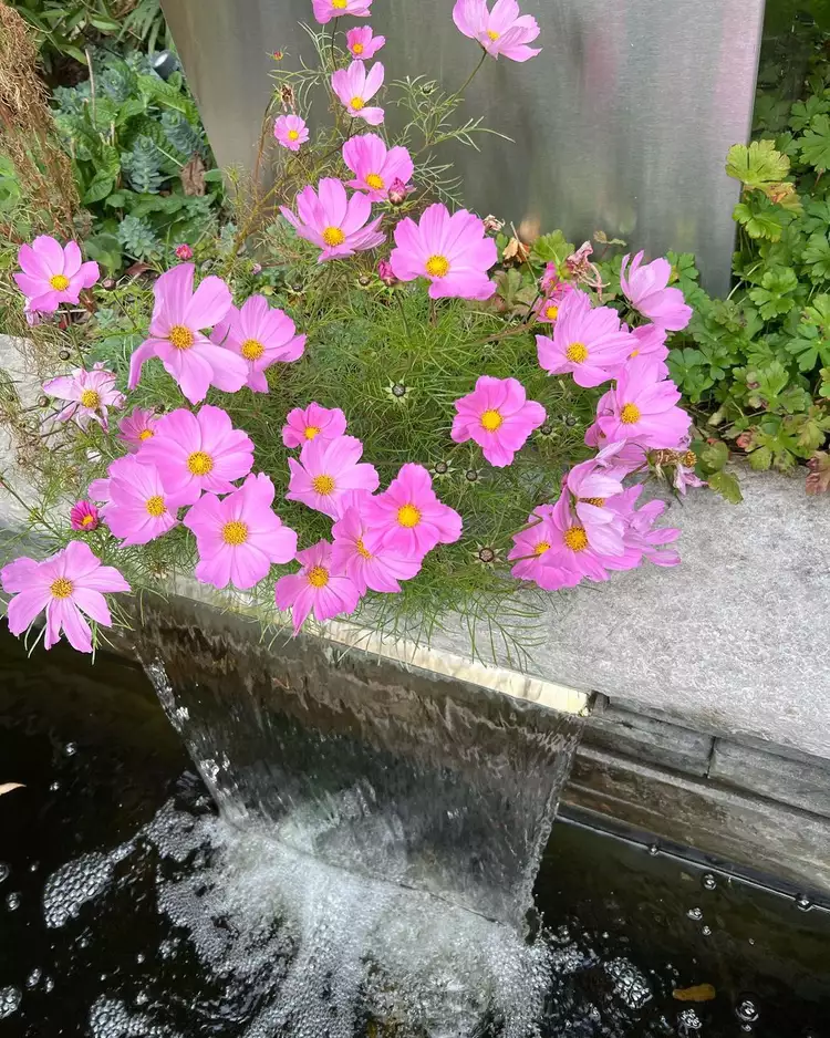 Fountain Ideas | Discover the World of Agriculture - Akhdar — Image 7