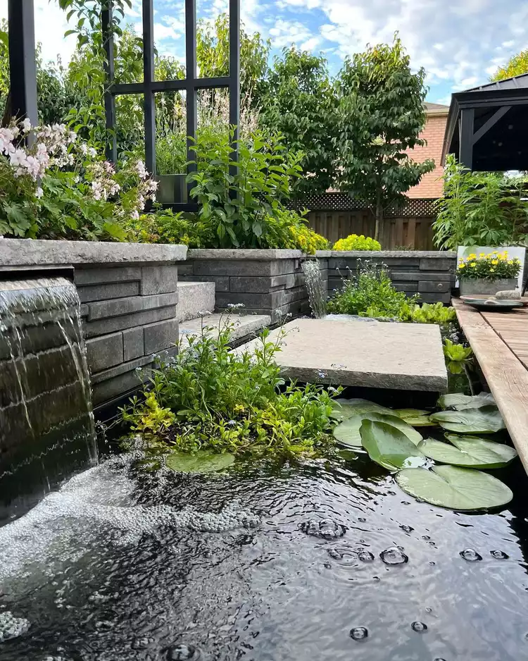 Fountain Ideas | Discover the World of Agriculture - Akhdar — Image 10