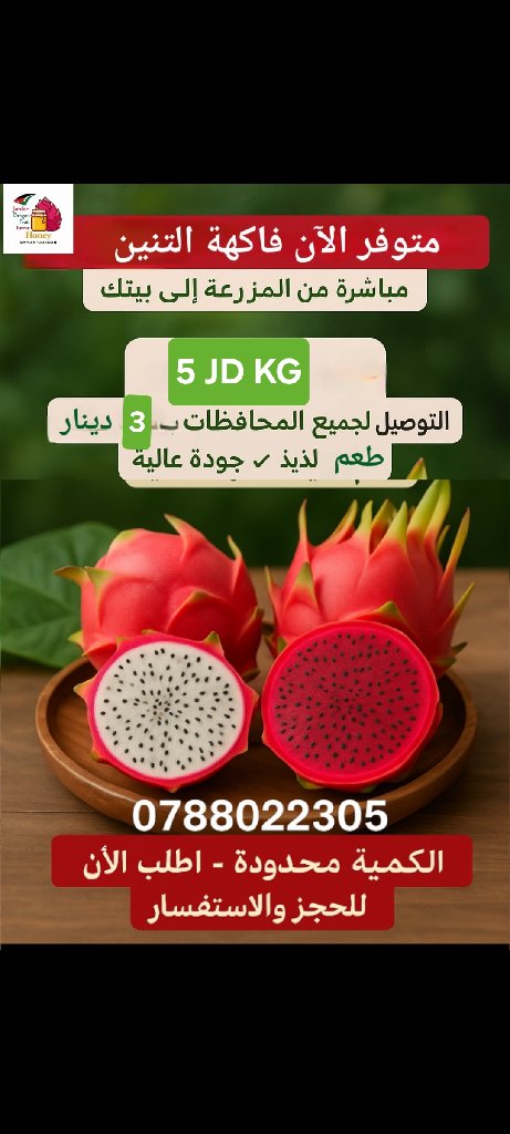 دراجون فروت أحمر أندونيسي | Jordan Dragon Fruit Farms - أخضر