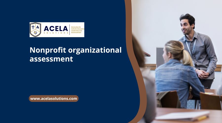 Nonprofit organizational assessment